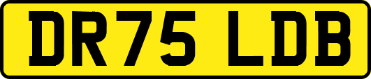 DR75LDB