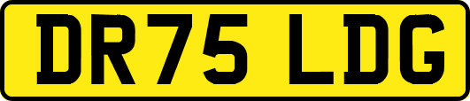 DR75LDG