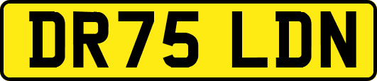 DR75LDN