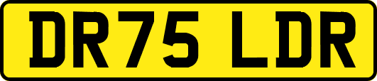 DR75LDR