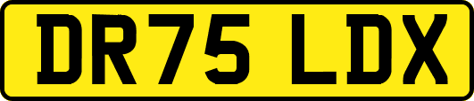 DR75LDX