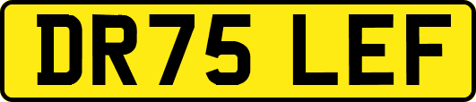DR75LEF