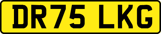 DR75LKG
