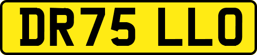 DR75LLO