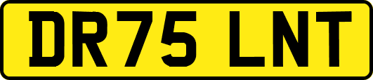 DR75LNT