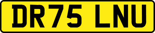 DR75LNU