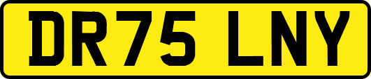DR75LNY