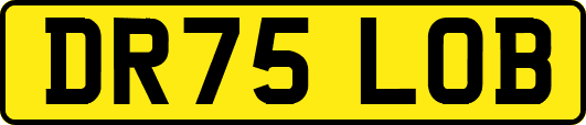 DR75LOB