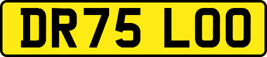 DR75LOO