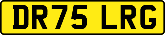 DR75LRG