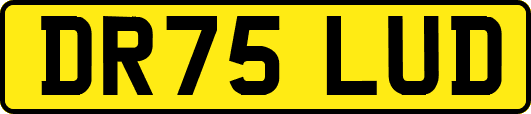 DR75LUD