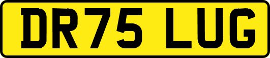 DR75LUG