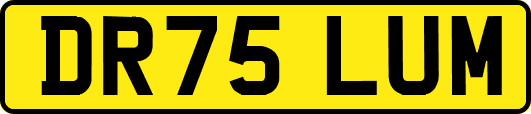 DR75LUM