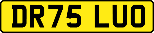 DR75LUO