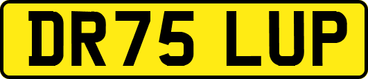 DR75LUP