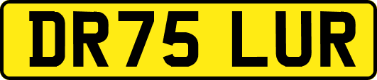 DR75LUR
