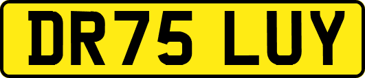 DR75LUY