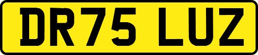 DR75LUZ