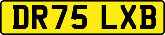 DR75LXB