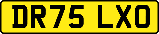DR75LXO