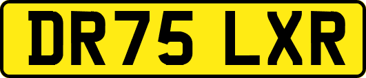 DR75LXR