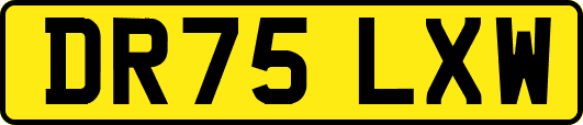 DR75LXW