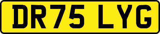 DR75LYG