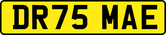 DR75MAE