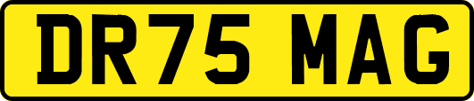 DR75MAG
