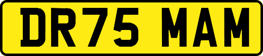 DR75MAM