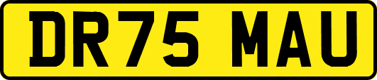 DR75MAU