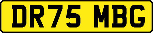 DR75MBG