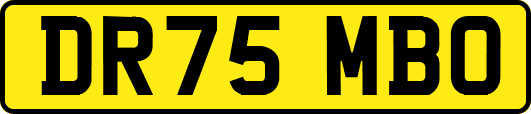 DR75MBO