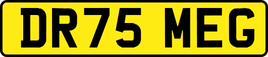 DR75MEG