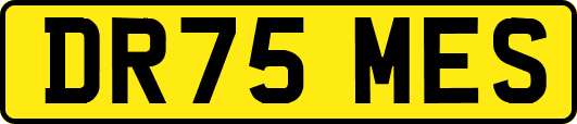 DR75MES