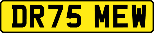 DR75MEW