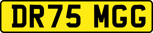 DR75MGG