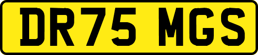 DR75MGS