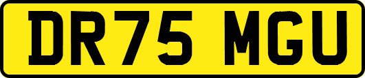 DR75MGU