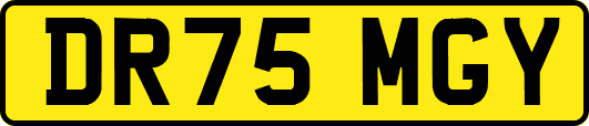 DR75MGY