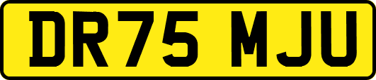 DR75MJU