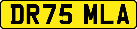DR75MLA