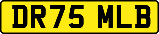 DR75MLB