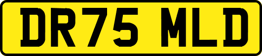 DR75MLD