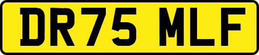 DR75MLF