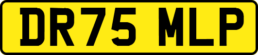 DR75MLP