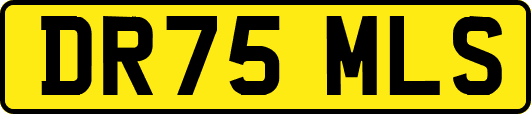 DR75MLS