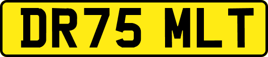 DR75MLT