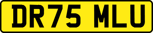 DR75MLU