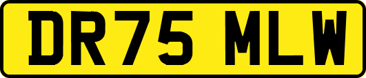 DR75MLW